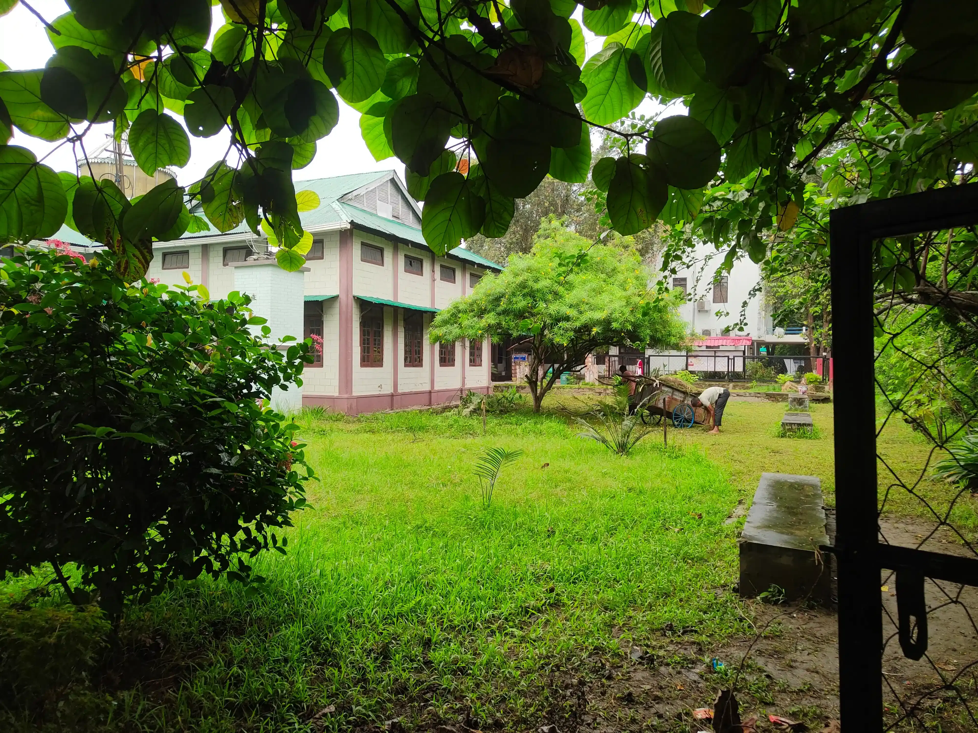 Darrang College Tezpur Campus photo 22